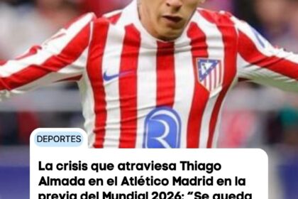 Actualidad